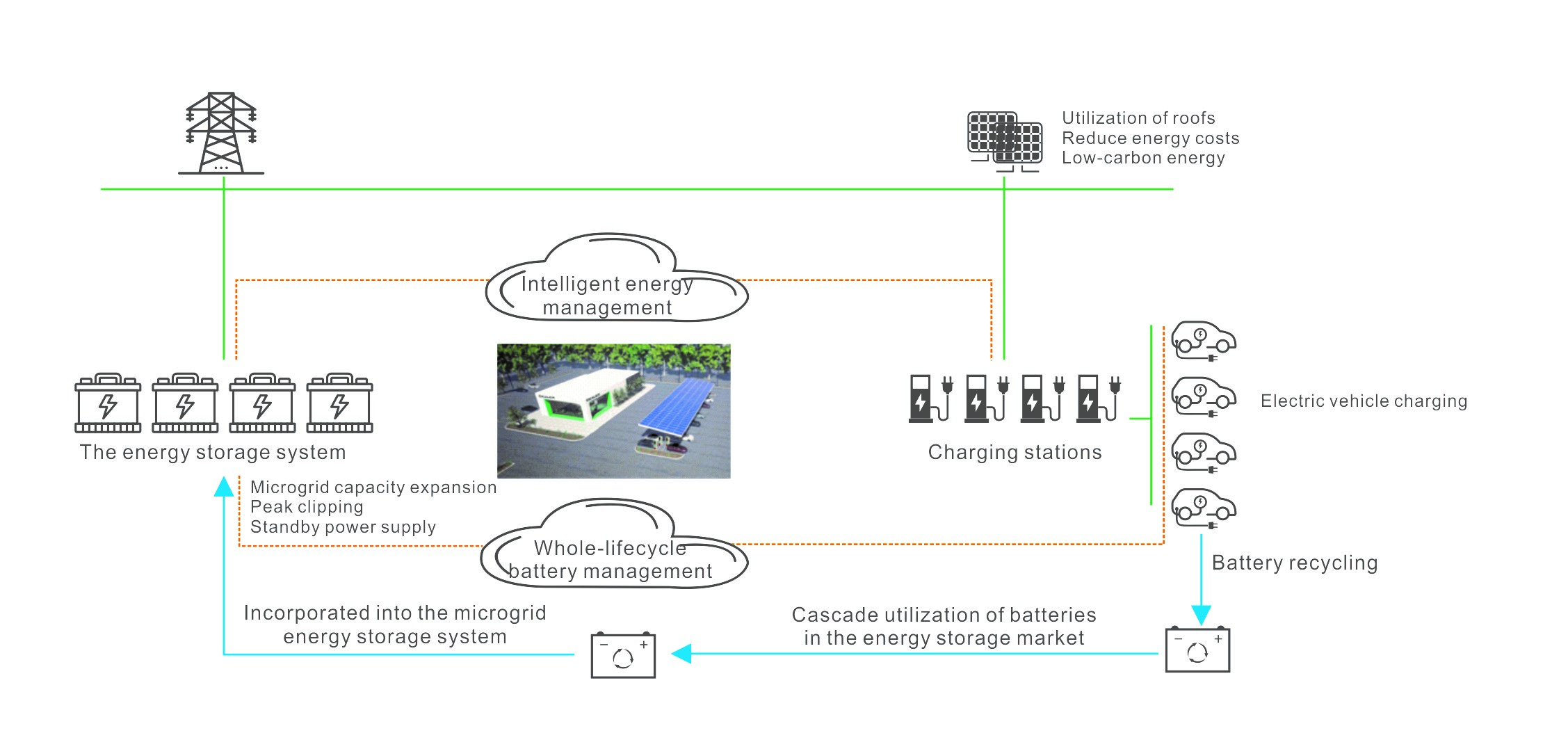 金狮贵宾会·宾至如归-尊贵显赫